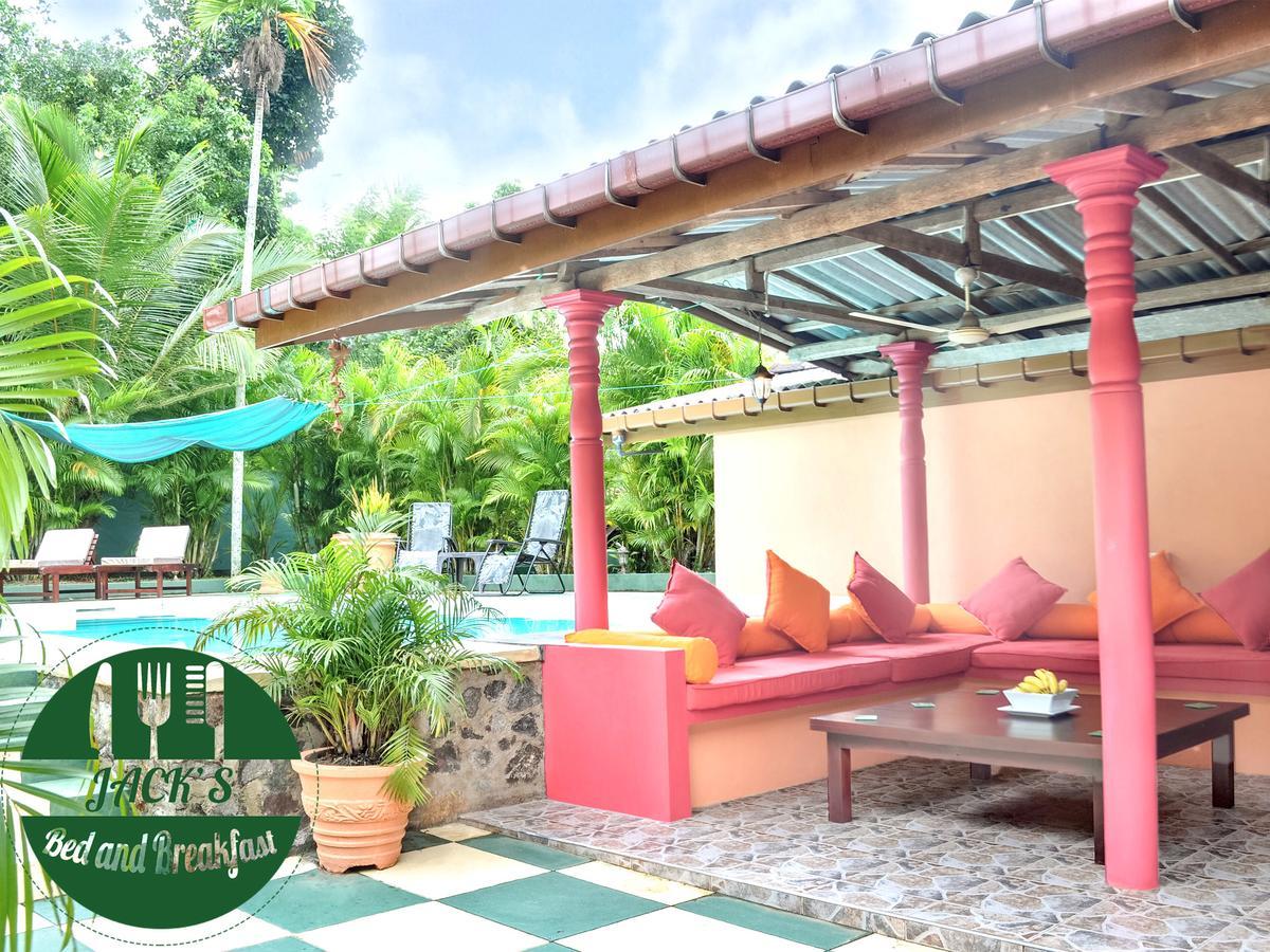 Jacks Bed And Breakfast 陶尔佩 外观 照片