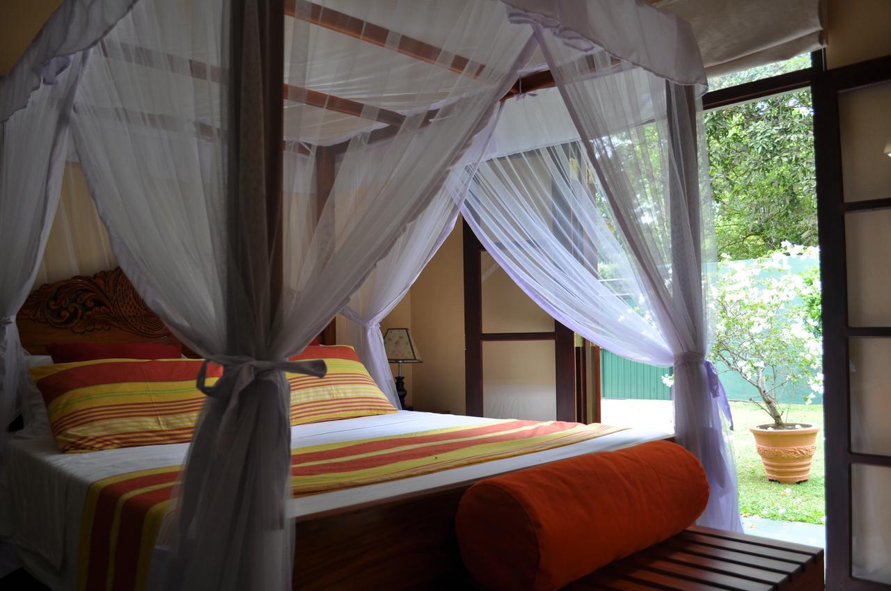 Jacks Bed And Breakfast 陶尔佩 外观 照片