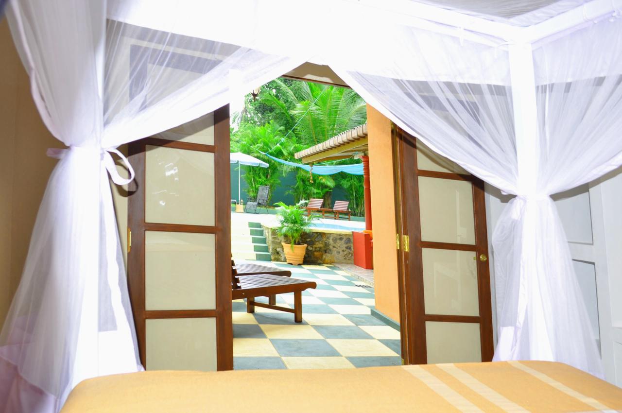 Jacks Bed And Breakfast 陶尔佩 外观 照片